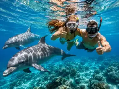 Dolphin House Snorkeling Tour Hurghada