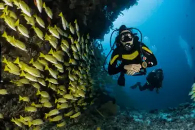 Intro Scuba Diving Cruise Hurghada Red Sea