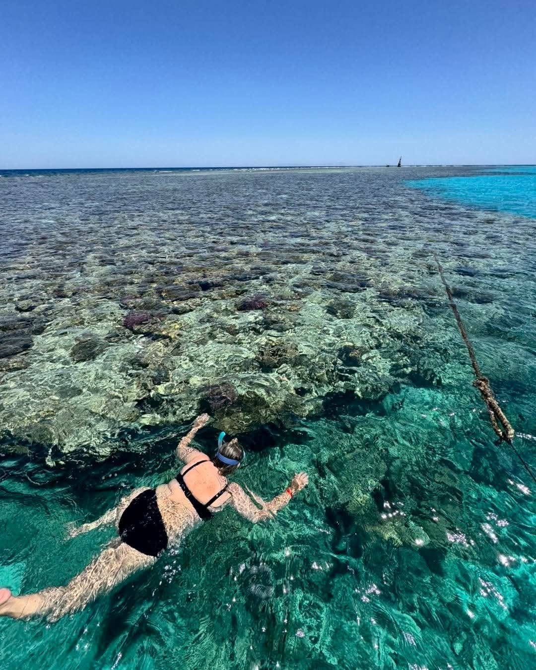 Pristine Coral Gardens Snorkeling