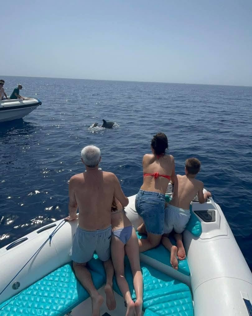 Dolphin House Encounter